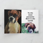 BOKSERHOND KAART (Binnen)