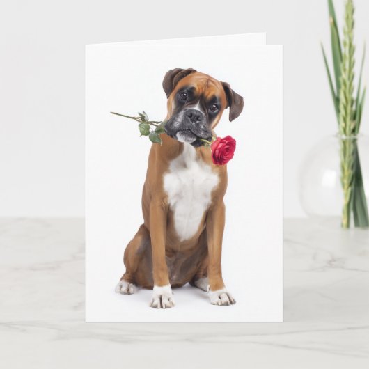 Bokserhond Valentine Kaart (Voorkant)