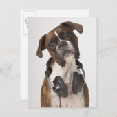 bokshond met hoofdtelefoon briefkaart (Voorkant / Achterkant)