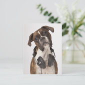 bokshond met hoofdtelefoon briefkaart (Staand voorkant)