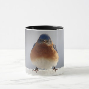 Bold Blue Bird Mok
