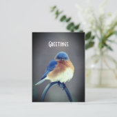 Bold Bluebird Briefkaart (Staand voorkant)