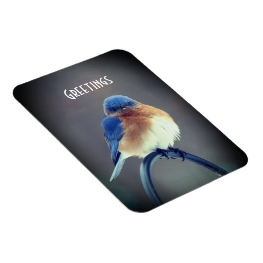 Bold Bluebird Magneet (Rechterzijde)