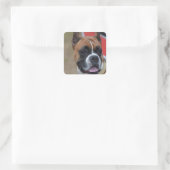 Bold Boxer Vierkante Sticker (Tas)