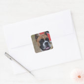 Bold Boxer Vierkante Sticker (Envelop)