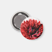 Bold Dahlia Waterverf Crimson Magneet (Voorkant / Achterkant)