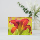 Bold Lily - Daylily Briefkaart (Staand voorkant)