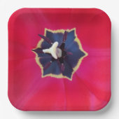 Bold Red Tulp Flower Macro Natuur Papieren Bordje (Voorkant)