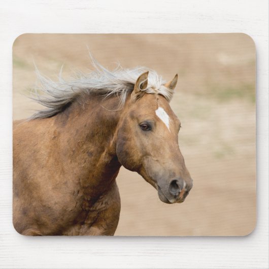 Bolder runt Mounsepad van Save Wild Horses Muismat (Voorkant)