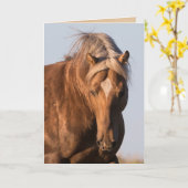 Bolder's Pride Wild Horse Wenskaart Kaart (Gele Bloem)