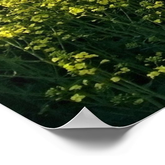 Boldness Motivational Poster Print (Coin)