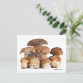 Boletus Edulis Briefkaart (Staand voorkant)
