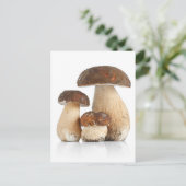 Boletus Edulis Briefkaart (Staand voorkant)