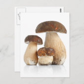Boletus Edulis Briefkaart (Voorkant / Achterkant)