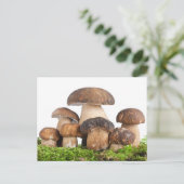 Boletus Edulis PCard Briefkaart (Staand voorkant)
