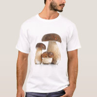 Boletus Edulis