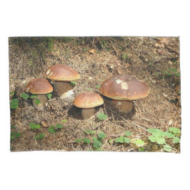 boletus kussensloop