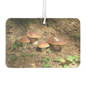 boletus luchtverfrisser (Achterkant)