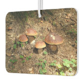 boletus luchtverfrisser (Links)