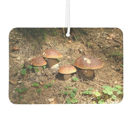 boletus luchtverfrisser (Voorkant)