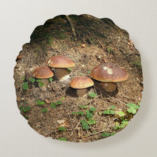 boletus rond kussen (Voorkant)