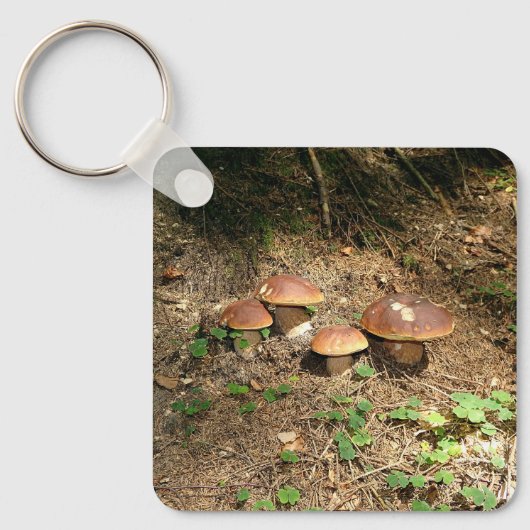 boletus sleutelhanger (Voorkant)