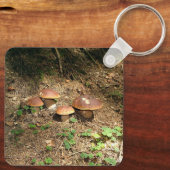 boletus sleutelhanger (Achterkant)