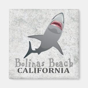 Bolinas Beach California shark magnet Magneet