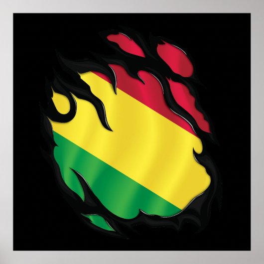 Bolivia geripte vlag poster (Voorkant)