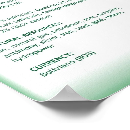 Bolivia Poster (Hoek)