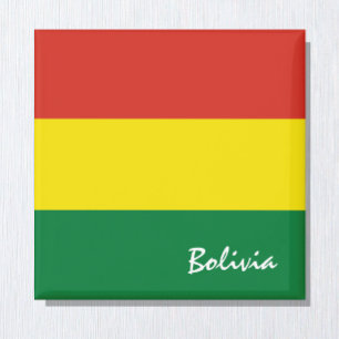 Bolivia vlag en Zuid-Amerika vakantie-/sportfans Magneet