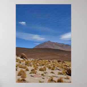 Boliviaanse Altiplano woestijnlandschap Poster