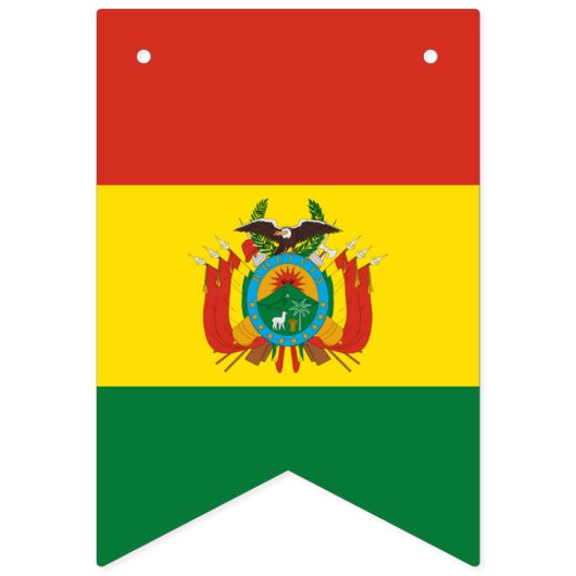 Boliviaanse vlag vlaggetjes (Tweede vlag)