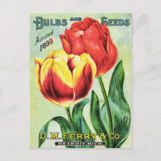 Bollen en zaadjes, rood en geel briefkaart