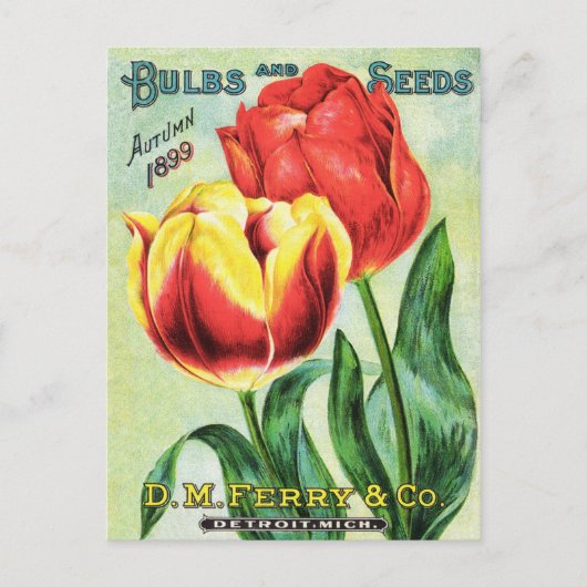 Bollen en zaadjes, rood en geel briefkaart (Voorkant)