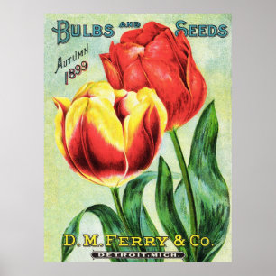 Bollen en zaadjes, rood en geel poster
