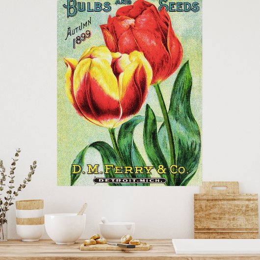 Bollen en zaadjes, rood en geel poster (Keuken)