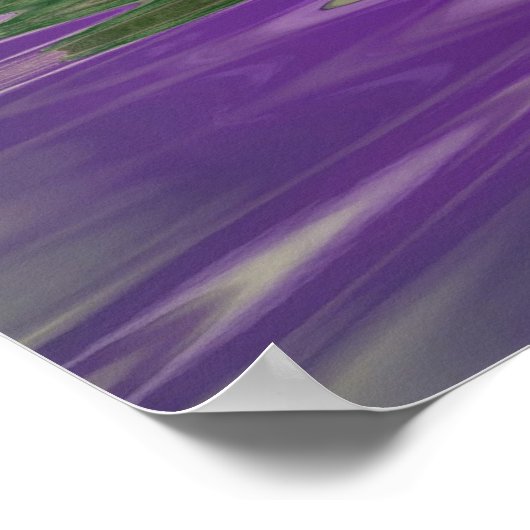 bollen poster (Hoek)