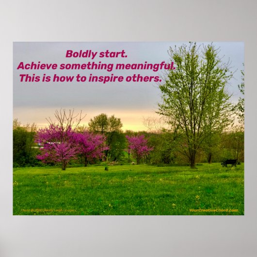 Bolly Start. Poster (Voorkant)