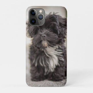 Bolonka Puppy iPhone 11 Pro Hoesje