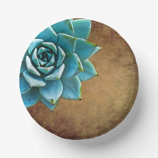 Bols En Carton Aquarelle Succulente Rustique Brown (Recto)