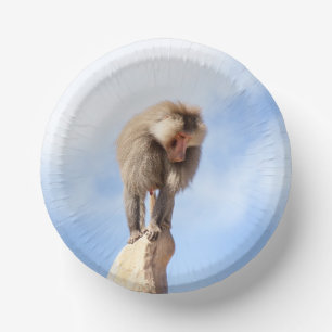 Bols En Carton Babouin singe au sommet d'une montagne