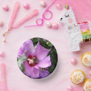 Bols En Carton Bumblebebe sur la fleur d'Hibiscus