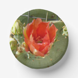 Bols En Carton Cactus Boules en papier pures et belles