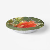 Bols En Carton Cactus Boules en papier pures et belles (Angulaire)