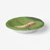 Bols En Carton Chien de trieur du Labrador jaune (Angulaire)