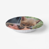 Bols En Carton Coyote Cub (Angulaire)