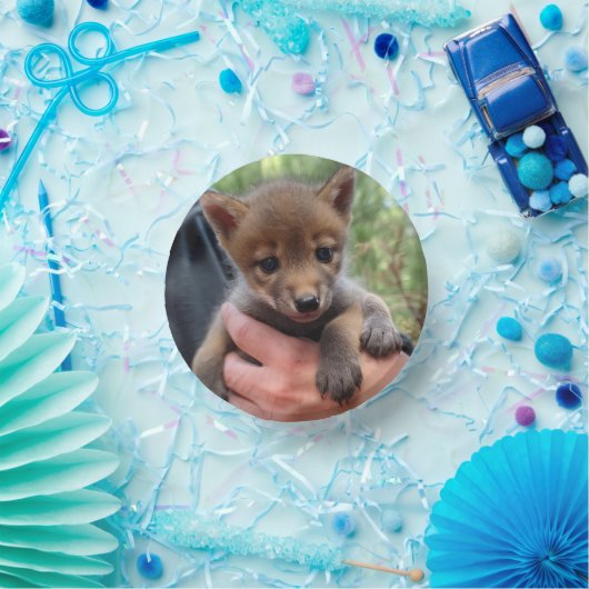 Bols En Carton Coyote Cub (Fête)