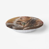 Bols En Carton Cute Kitten (Angulaire)