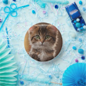 Bols En Carton Cute Kitten (Fête)